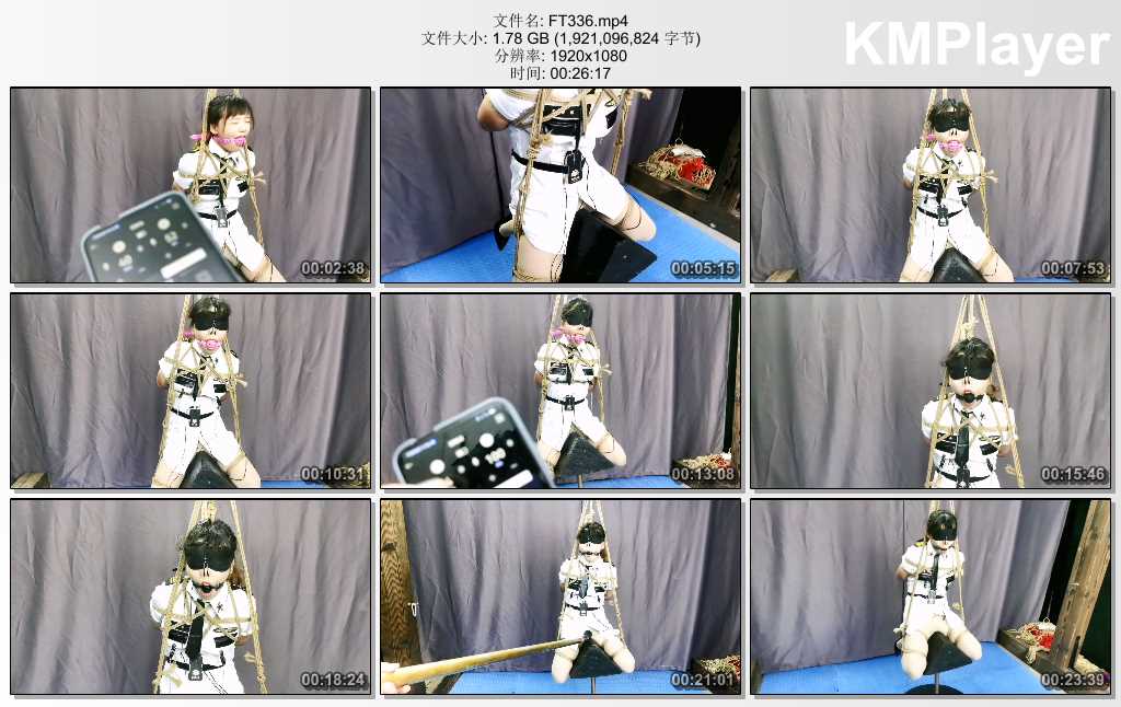 FT336.mp4_thumbs_[2025.02.02_20.42.38].jpg