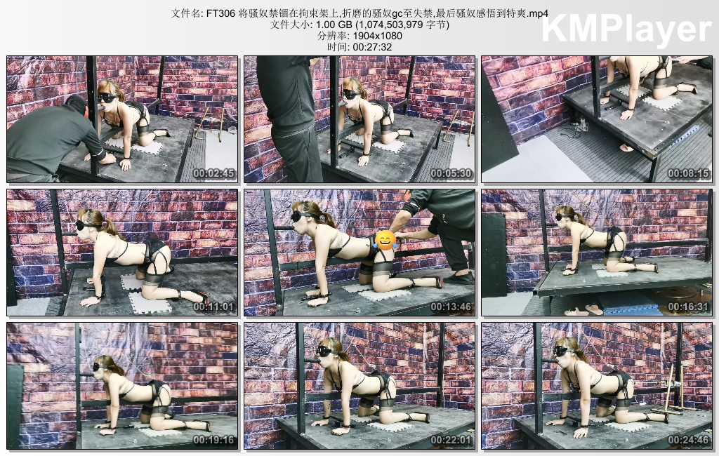 FT306 将骚奴禁锢在拘束架上,折磨的骚奴gc至失禁,最后骚奴感悟到特爽.mp4_thumbs_[202.jpg