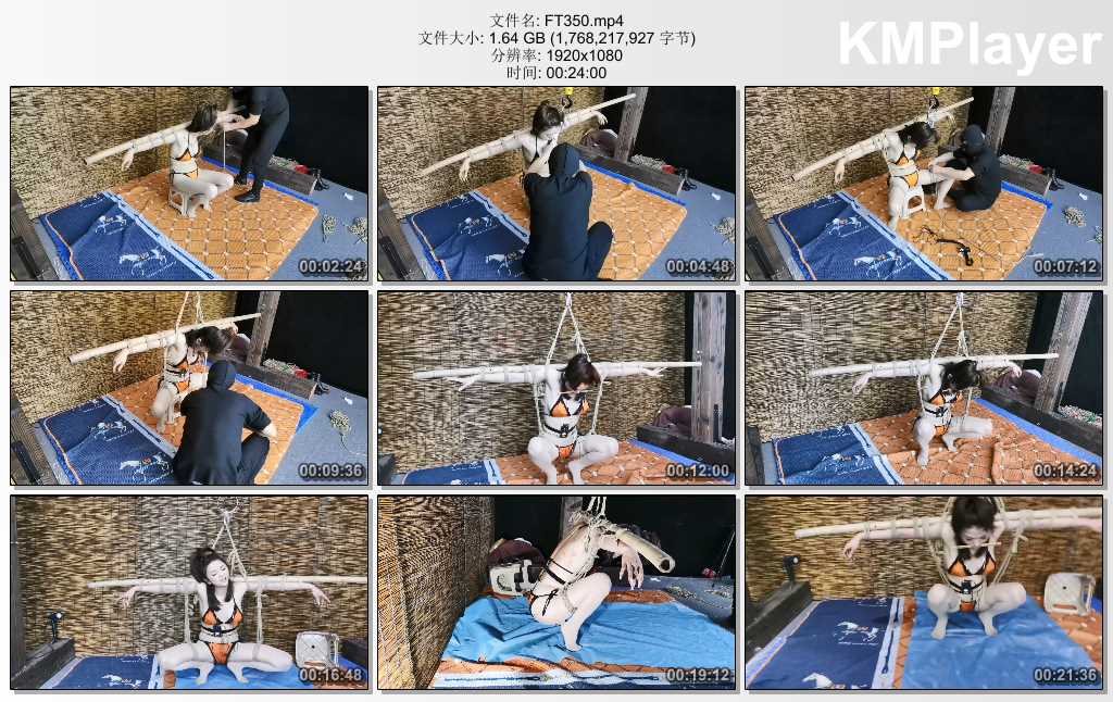FT350.mp4_thumbs_[2025.02.02_20.44.10].jpg