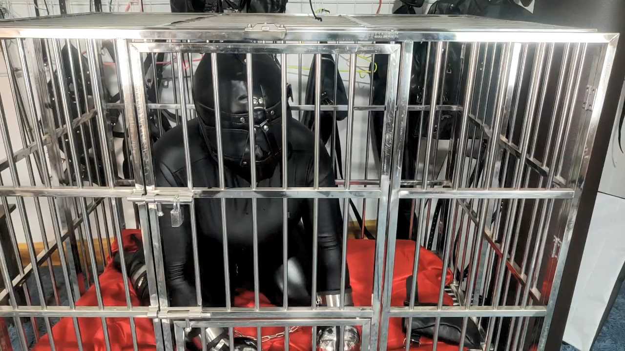 MTLGZS0029.mp4_snapshot_33.52_[2025.02.19_19.23.43].jpg