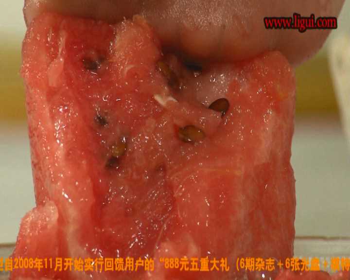 LGMS031 粉红多汁的美色.vob_snapshot_04.45_[2025.02.21_21.01.31].jpg