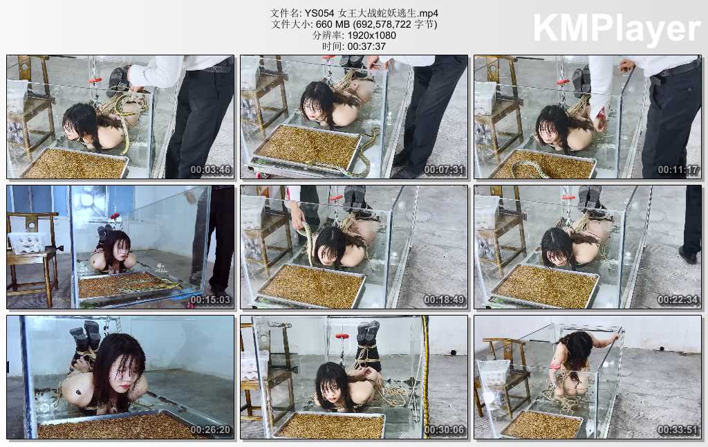 YS054 女王大战蛇妖逃生.mp4_thumbs_[2025.02.25_18.37.42].jpg