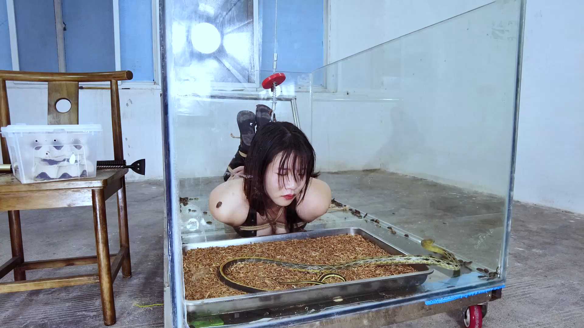 YS054 女王大战蛇妖逃生.mp4_snapshot_11.40_[2025.02.26_09.08.52].jpg