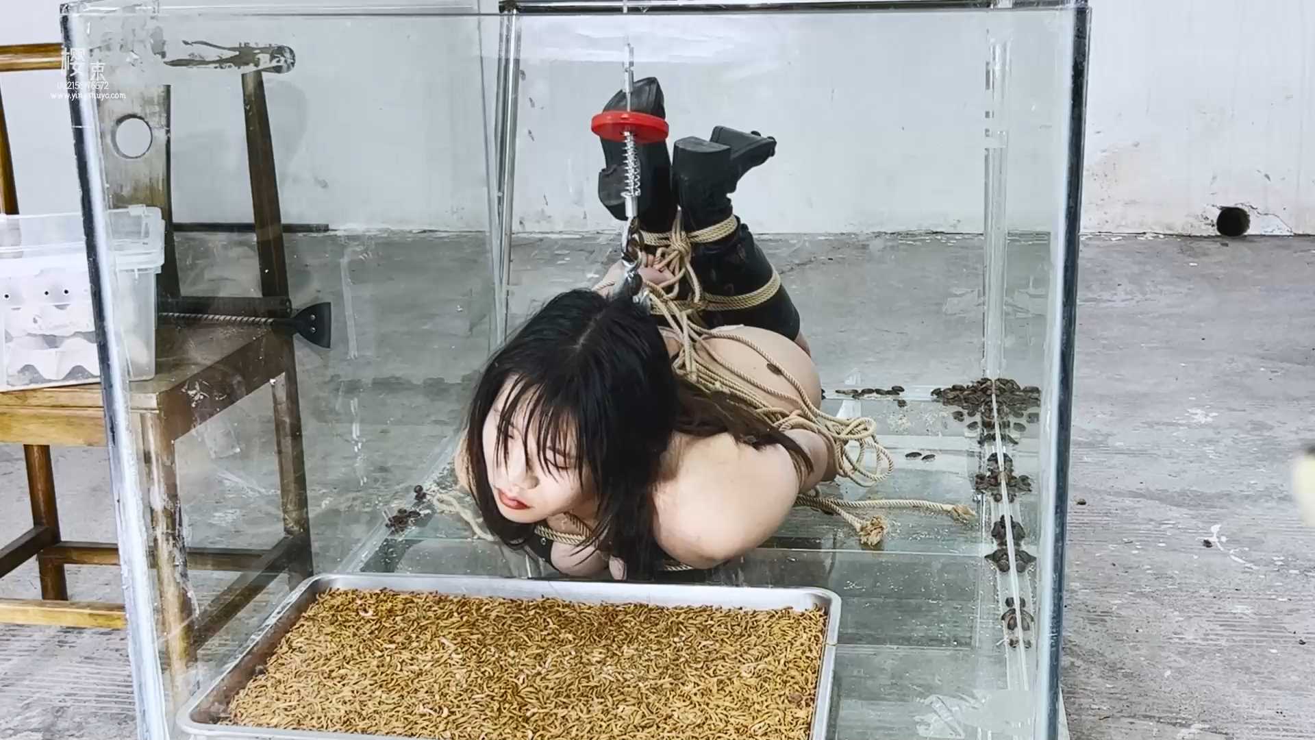 YS054 女王大战蛇妖逃生.mp4_snapshot_31.00_[2025.02.26_09.08.55].jpg