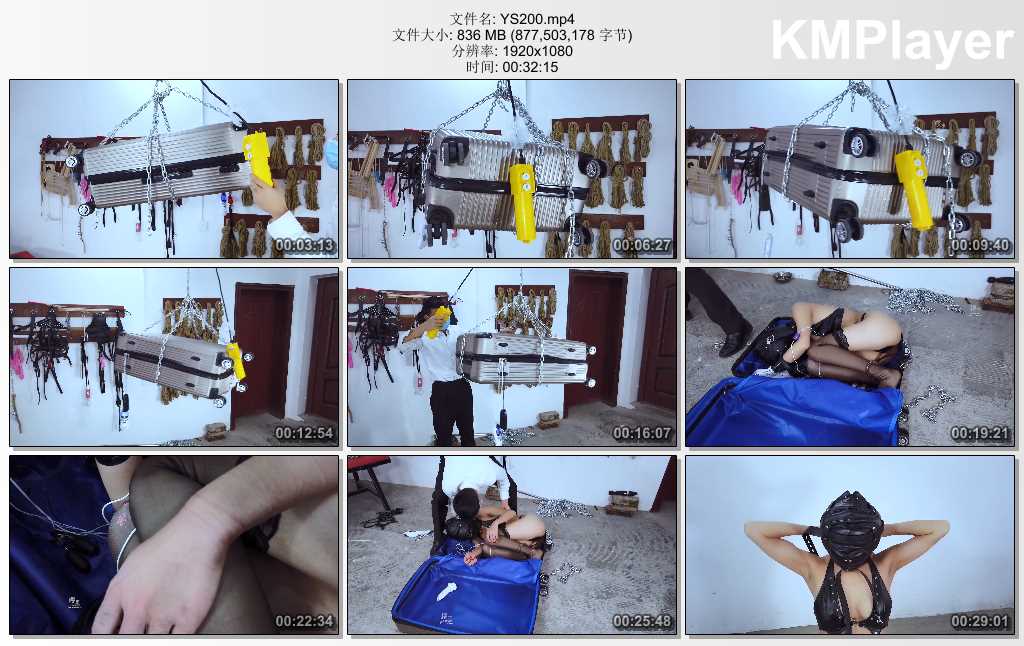 YS200.mp4_thumbs_[2025.02.25_19.20.27].jpg