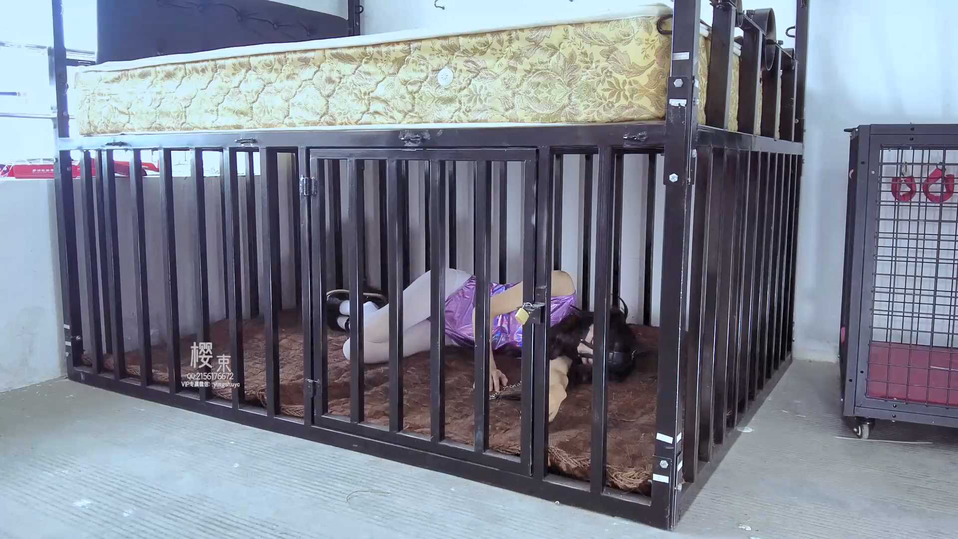 YS267 圈养奴犬缚驯养.mp4_snapshot_00.00_[2025.02.27_15.48.36].jpg