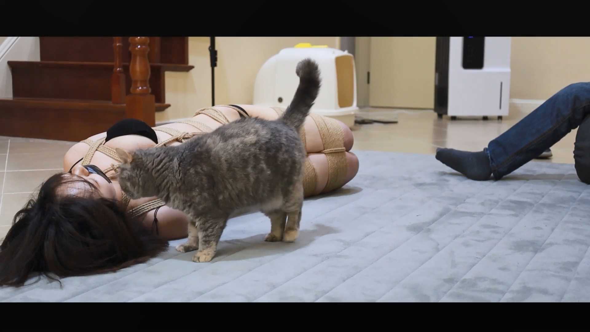 BDSY345.mp4_snapshot_00.00.01_[2025.03.01_19.52.24].jpg