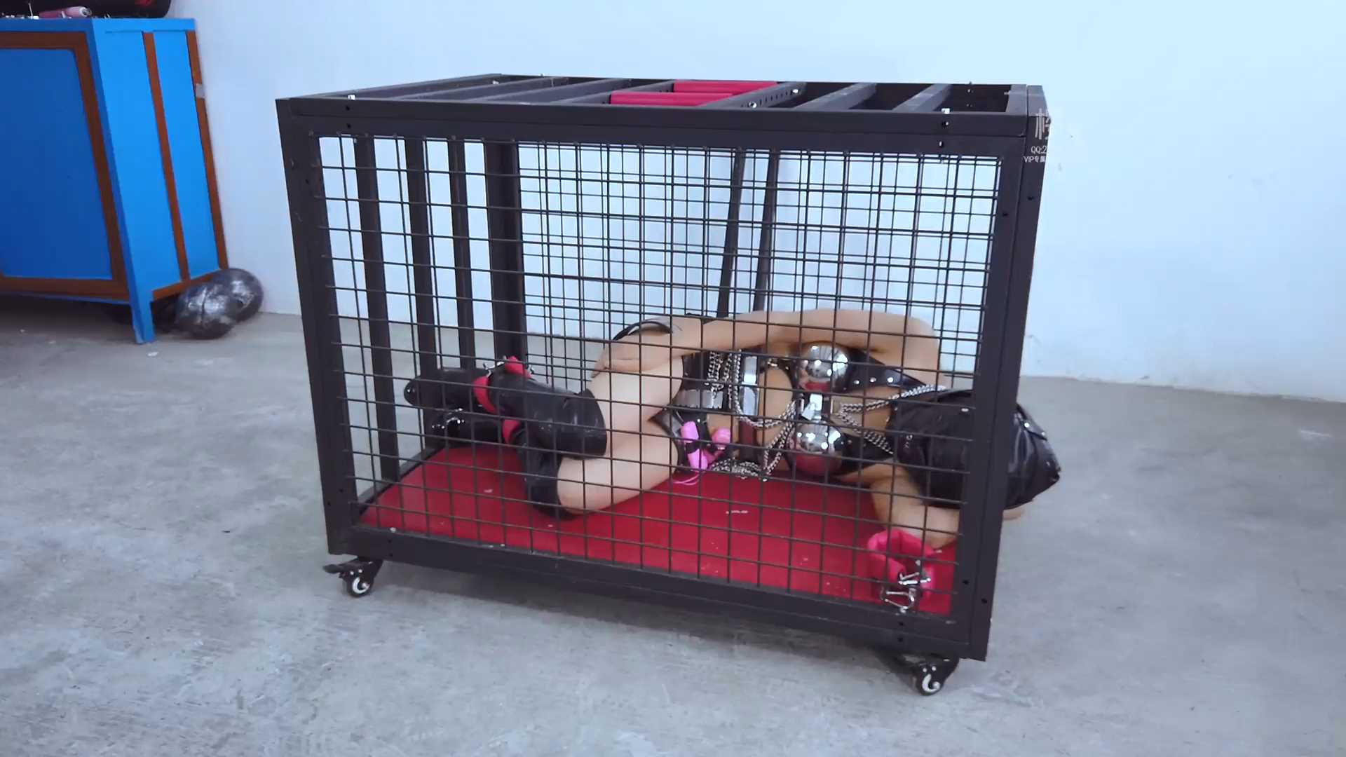 YS284 完全禁锢第三季 06.mp4_snapshot_00.00_[2025.02.27_15.51.35].jpg