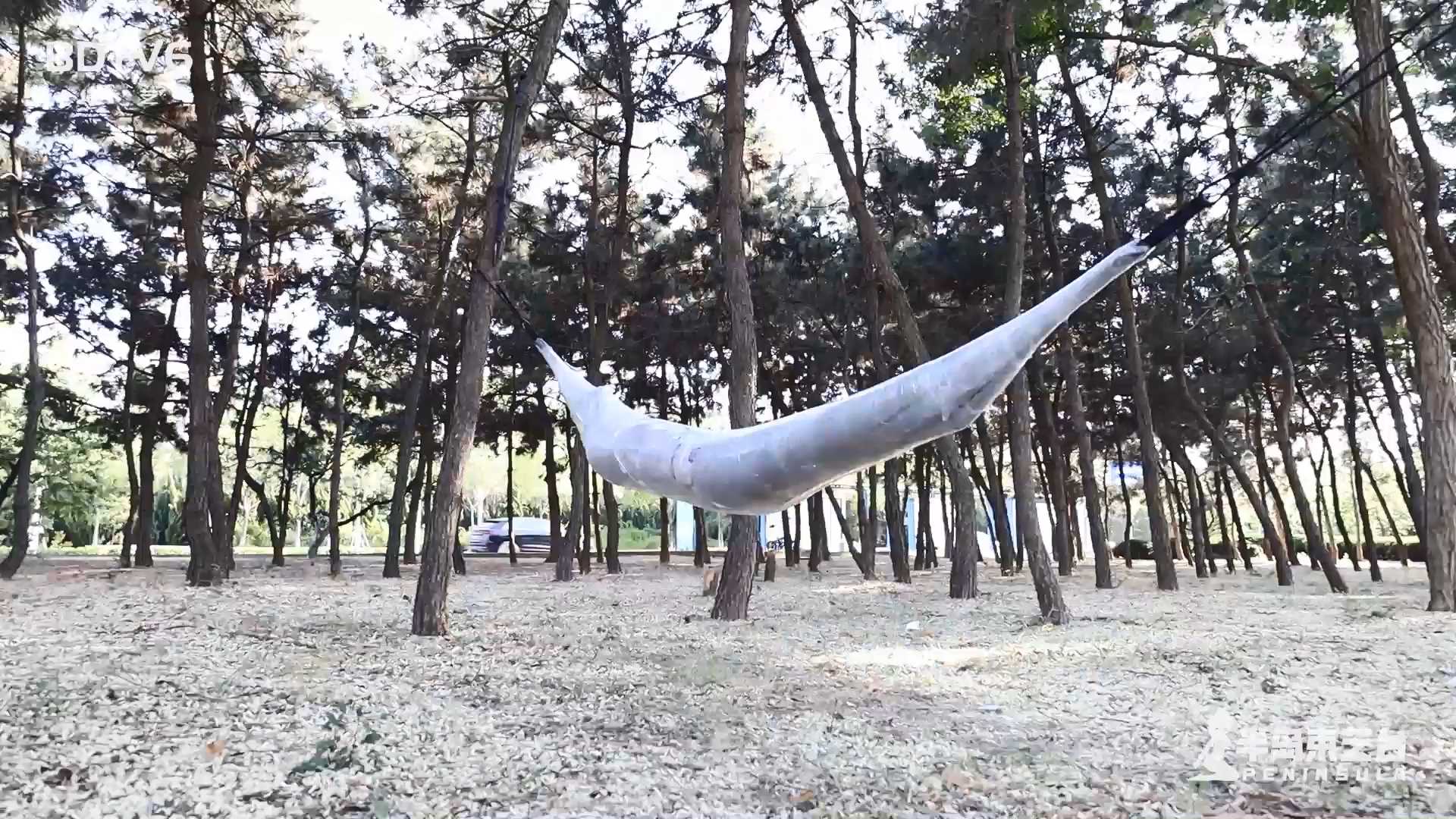 BDSY465.mp4_snapshot_30.55_[2025.03.01_20.19.17].jpg