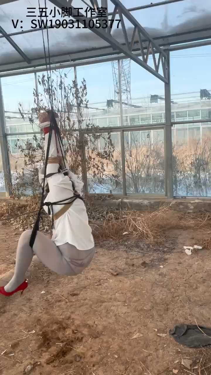 MNGZS0006.mp4_snapshot_30.58_[2025.04.17_10.41.37].jpg