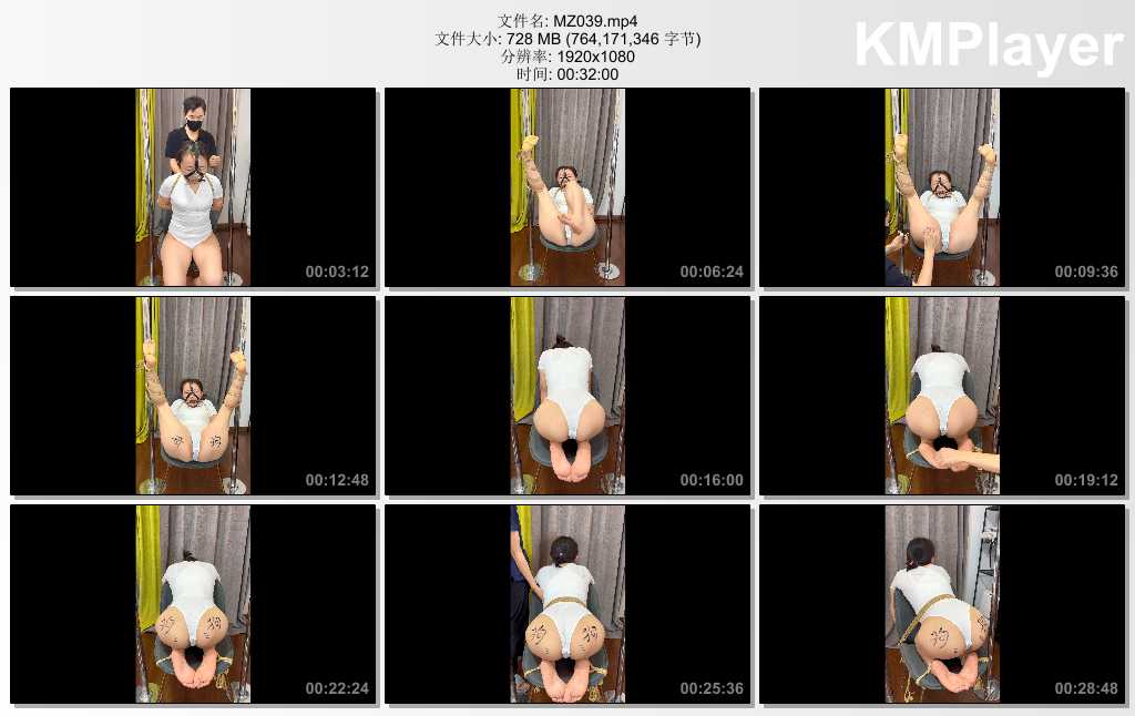 MZ039.mp4_thumbs_[2025.04.11_14.41.06].jpg