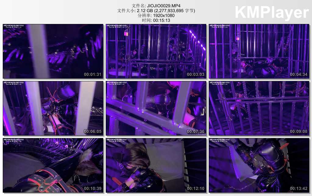 JIOJIO0029.MP4_thumbs_[2025.04.11_14.23.19].jpg