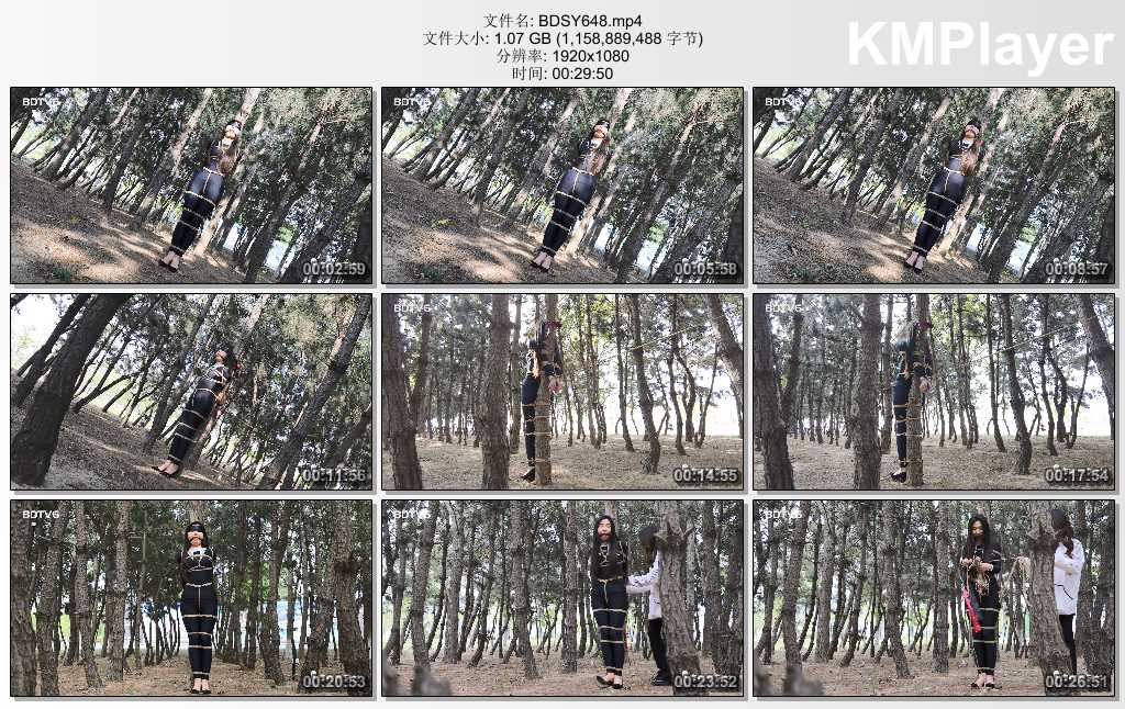 BDSY648.mp4_thumbs_[2025.02.25_16.13.23].jpg