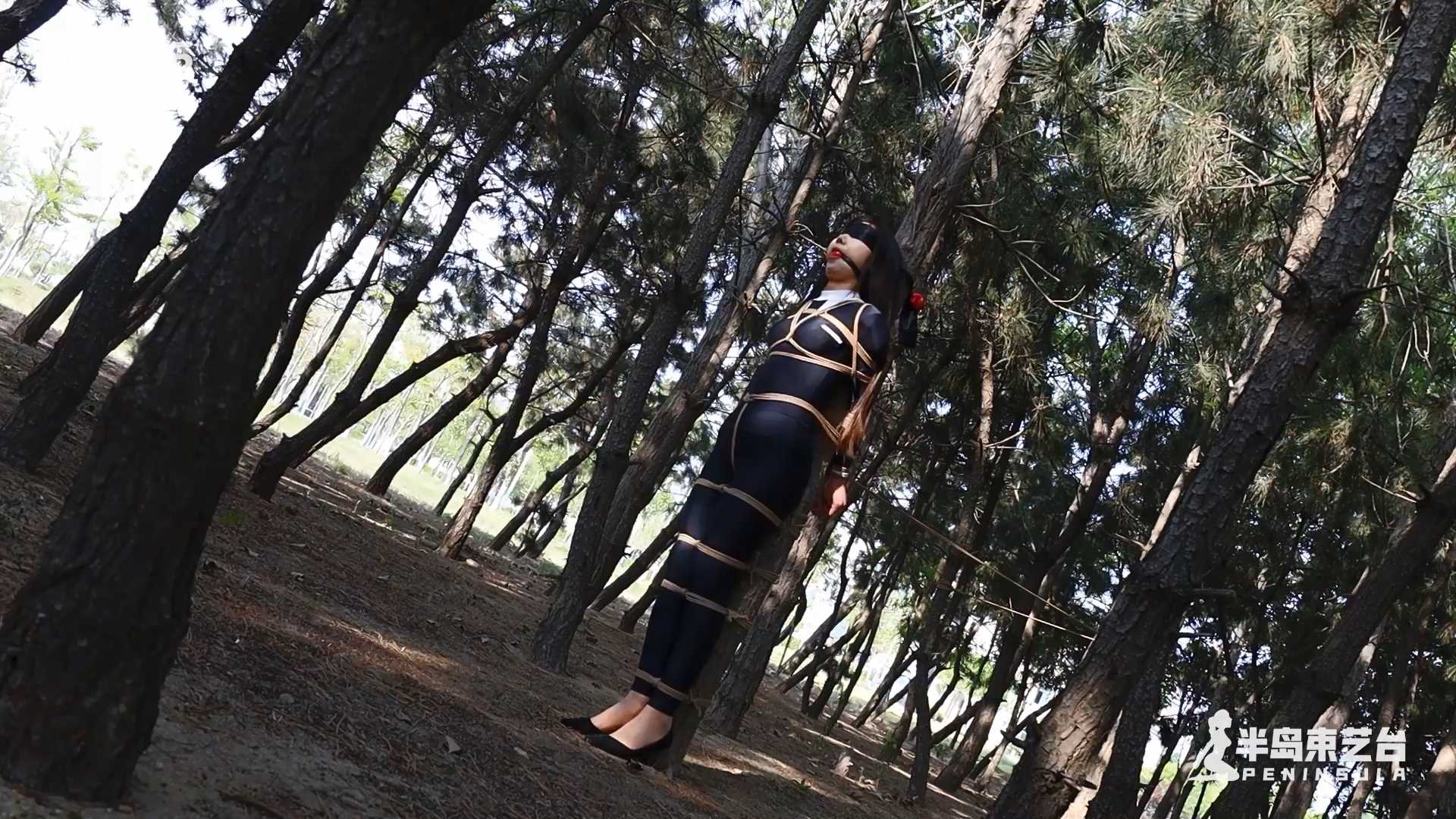 BDSY648.mp4_snapshot_12.58_[2025.03.01_20.54.51].jpg