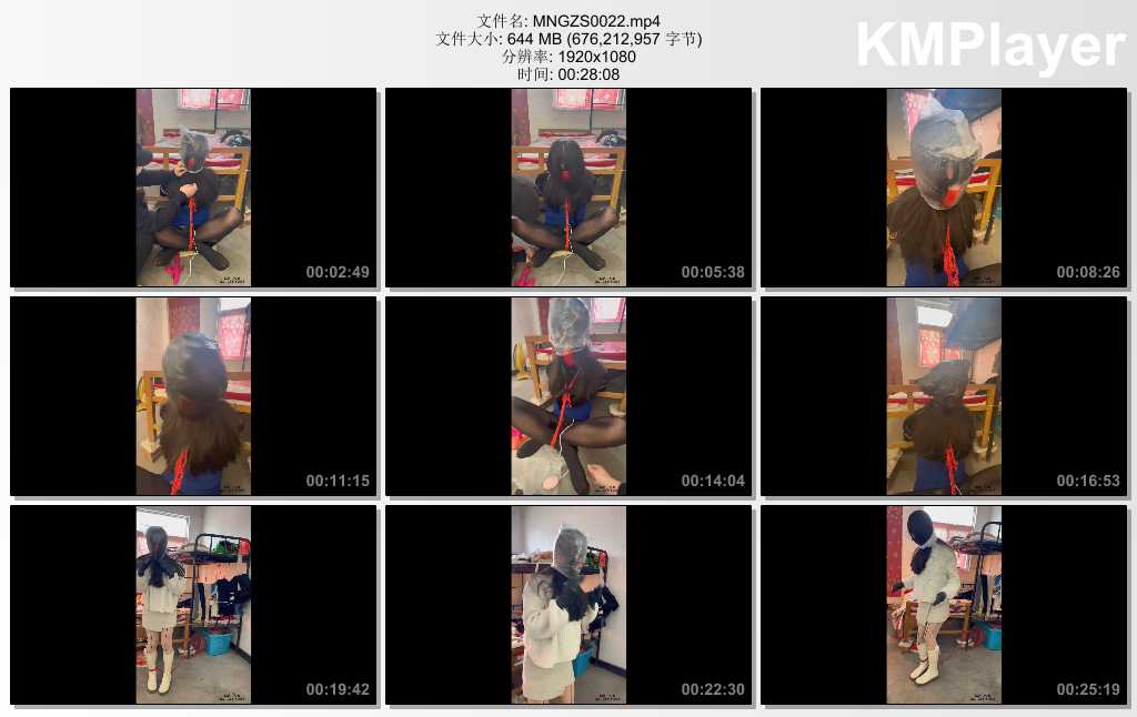 MNGZS0022.mp4_thumbs_[2025.04.17_10.31.48].jpg