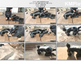 曼陀罗工作室_屋顶遛狗还是皮具拘束风格