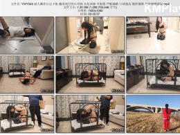 夜未央工作室_丽人圈养日记下集 人形犬 戴着尾巴的小母狗 犬化训练 关狗笼 严酷滴蜡 口球强高 婚纱捆绑 户外镣铐游玩