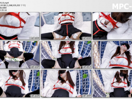 嗷大喵工作室_萝莉遇险记 第十一集