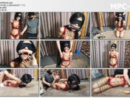 意之窗工作室_汤圆 红胶衣 各种口球嘟嘴 驷马吊