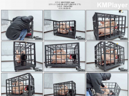 冥想绳艺原创_落叶 完美复刻house of gord家具片中的兔笼-落叶的兔笼初体验