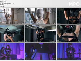 闪闪工作室_三款少女装束的投喂饲养