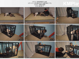 鑫鑫工作室_调教秘书小肉臀全过程 秘书小肉臀发现老板在看SM片子 在老板走后偷看被老板发现