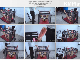 樱束原创_完全禁锢第三季07