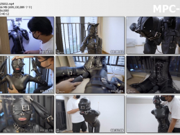 闪闪工作室_新妹子 娇小可爱的全包紧身衣人形犬 充气口塞 开口器