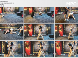 意之窗工作室_小爱慕汤圆 遛狗木马惩罚