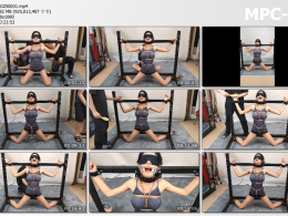 意之窗工作室_汤圆 固定架挠痒 明晃晃的一对大灯闪的人头晕