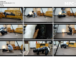 浅浅原创_无数铜锁升级打造的人形犬 下集 铁链拴母狗 尾巴 各种互动 遥控在手 不得不听我的指令