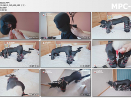 九尾少女_驯化家养小母狗 第三部 家养母狗的彻底驯化 封闭五感 K9犬姿 调教爬行 电击 狗盆喂养