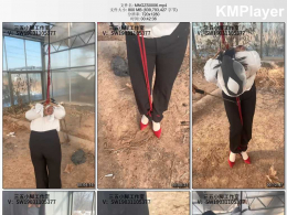 媚娘工作室_室外调教 裤里丝吊调教，灰丝吊调教抽打，跳D