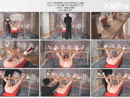 撒琅制造_汤圆木枷TK电击