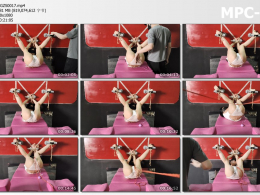 意之窗工作室_汤圆 高抬腿固定享受