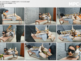 HD飞天原创_犬奴柔柔盼望已久的k9驷马架终于可以尝试啦