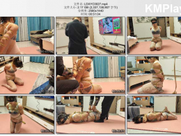 李大侠原创_我的秘书我的奴系列之六 白丝调教