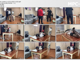 贝特原创_高挑OL美女琪琪直臂驷马放置