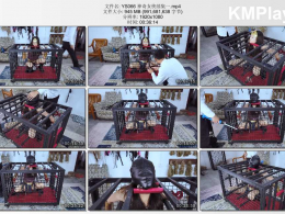 樱束原创_神奇女侠续集一