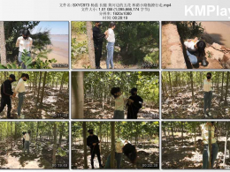 随心原创_杨蕊 长腿 黄河边的五花 林荫小路拖撩行走