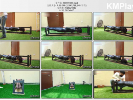 半岛束艺台_世界上独一无二的板凳用法01