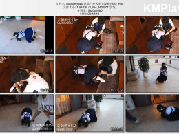 咕咕精_茶茶户外人形犬K9初体验