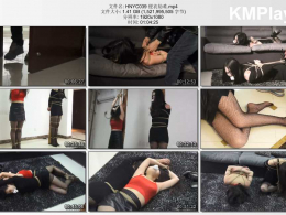 灰鸟原创_便衣劫难