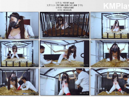 樱束原创_导师的教育升格版