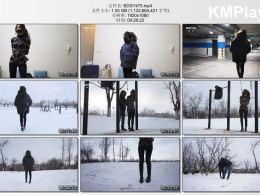 半岛束艺台_雪仗的正确打法