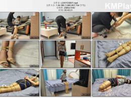 李大侠原创_绑架空姐佳佳