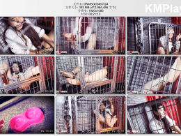 DK13美束馆_狗笼 KB 肉丝 遥控蛋蛋 挣扎 口球 裸足 脚铐 手铐等多元素!-沐子