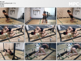 涵涵特辑_电动玩具全家福 下集