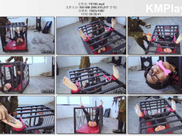 樱束原创_侠盗燕子之笼中虐足