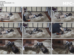 绿帽学院 端午节驷马鞭打泡泡机